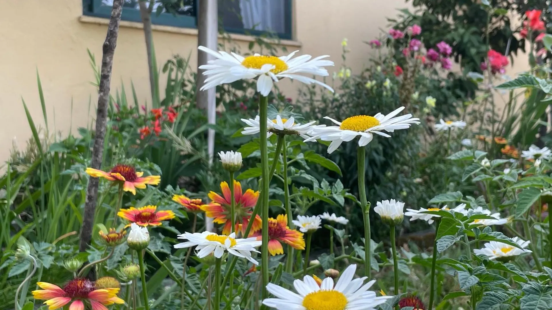 Hysa Guest House Shkodra